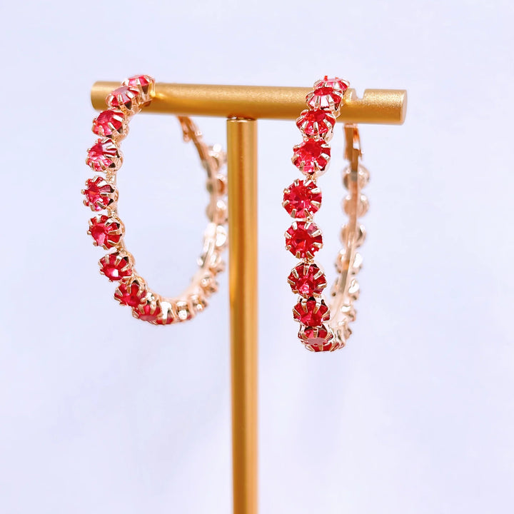 Treasure Jewels: Brilliant Pink Hoop Earring